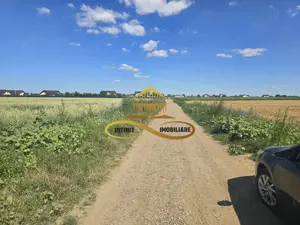 Teren pentru investitori la Calea Romanului 9000 mp - imagine 3