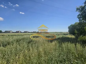 Teren pentru investitori la Calea Romanului 9000 mp - imagine 8