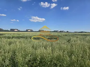 Teren pentru investitori la Calea Romanului 9000 mp - imagine 7