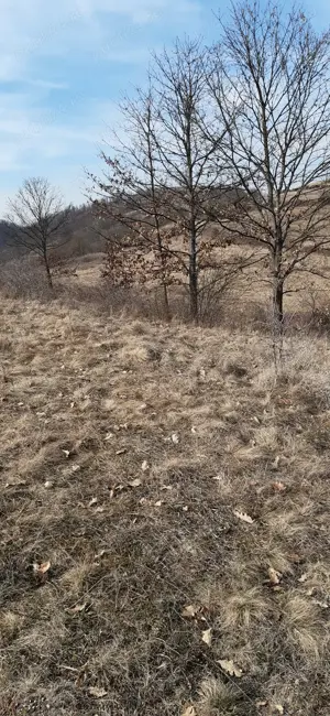 Teren de vanzare - imagine 2