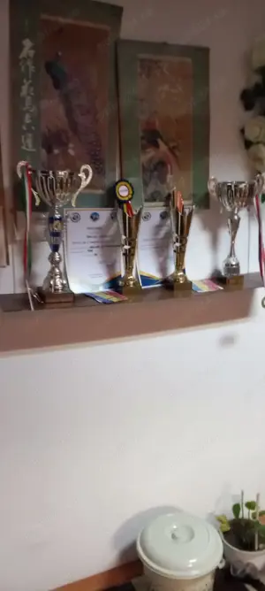 Căței Ciobanesc german cu pedigree