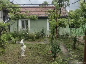 vand casa in zona Mehala - imagine 4