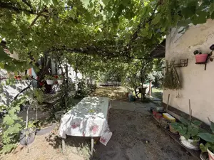 Casa veche cu teren de 2585 m - Biharia  - imagine 4