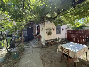 Casa veche cu teren de 2585 m - Biharia  - imagine 3