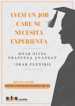 Specialist Support Tehnic cu limba franceza