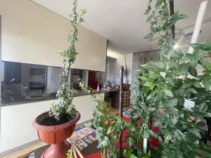 Apartament 3 camere, 80 mp, 2 terase mari, mobilat complet, zona – Zorilor - imagine 5