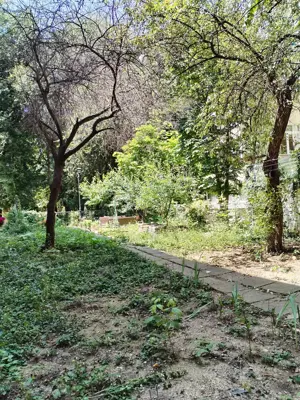 Floreasca, etaj 3 3, decomandat, 46mp, fara imbunatatiri, liber, comision zero. - imagine 10