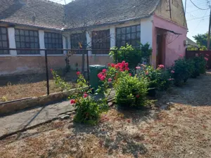 Casă bătrânească cu teren generos 2877 mp în satul Brestea (comuna Denta, județul Timiș)