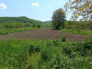 Casă de vânzare Sînpetru Almașului, Hida cu teren 6000 mp