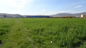 Vand teren intravilan in Deva suprafata totala 43 000 mp, zona Auchan sau Mol Deva, 3 cai de acces  - imagine 2