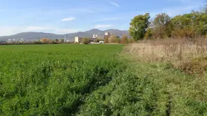 Vand teren intravilan in Deva suprafata totala 43 000 mp, zona Auchan sau Mol Deva, 3 cai de acces  - imagine 4