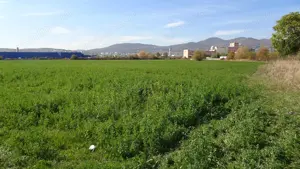 Vand teren intravilan in Deva suprafata totala 43 000 mp, zona Auchan sau Mol Deva, 3 cai de acces  - imagine 3