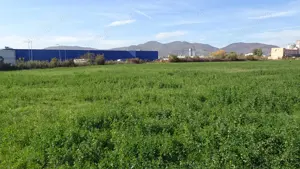 Vand teren intravilan in Deva suprafata totala 43 000 mp, zona Auchan sau Mol Deva, 3 cai de acces  - imagine 5