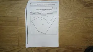 Vand teren intravilan in Deva suprafata totala 43 000 mp, zona Auchan sau Mol Deva, 3 cai de acces  - imagine 8