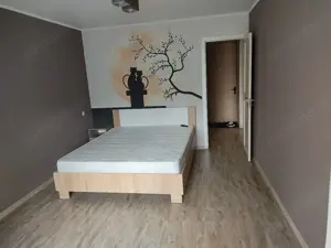 Apartament cu o camera de inchiriat in zona Horea