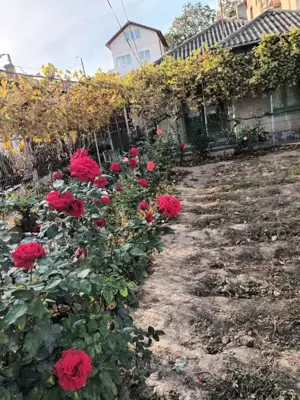 PACII - CASA 4 CAMERE  ,TEREN 450 MP