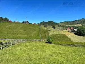 TEREN INTRAVILAN, 1380MP, FUNDATA - imagine 2