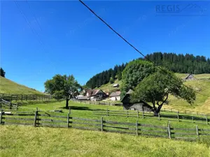 TEREN INTRAVILAN, 1380MP, FUNDATA - imagine 4