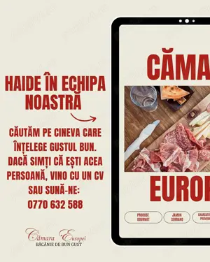 Căutăm un nou coleg   o nouă colegă la Cămara Europei!