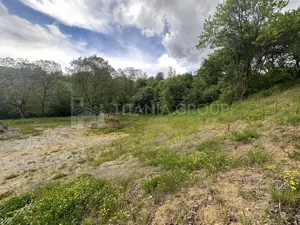 Teren intravilan 3054mp cu utilitati+constructie pe teren, langa vila Bran - imagine 2