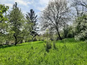 Teren intravilan cu casa- 1740 mp. in Provita de Sus-PH