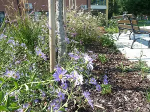 Spații verzi: toaletare garduri vii, arbori, arbuști, întreținere gazon, sisteme de irigat  - imagine 3