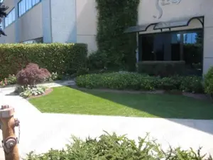 Spații verzi: toaletare garduri vii, arbori, arbuști, întreținere gazon, sisteme de irigat  - imagine 2