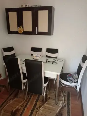 Casa de vanzare Corlatel Mehedinti  - imagine 8