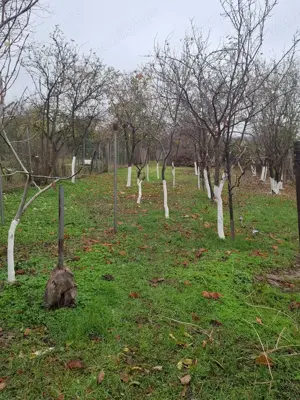 Casă de vânzare în Sebeș, zonă centrală (Zona A) - imagine 2