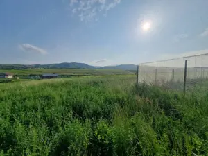 Teren 650 mp Luizi spre Sărata (Restaurant Excalibur) - imagine 4