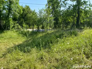 vand teren - imagine 5