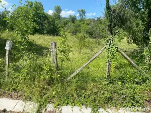 vand teren - imagine 2