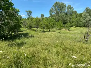 vand teren - imagine 3