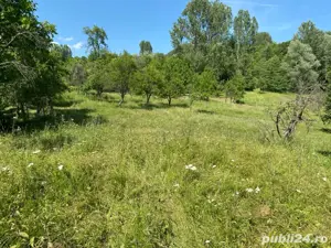 vand teren - imagine 4