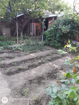 Casa de vanzare in Chercea, teren 420mp - imagine 3