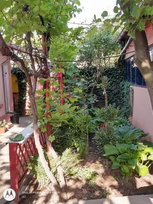 Casa de vanzare in Chercea, teren 420mp - imagine 2