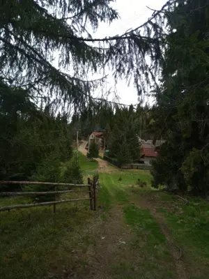 Vand teren 653 mp in statiunea Muntele Baisorii - imagine 2