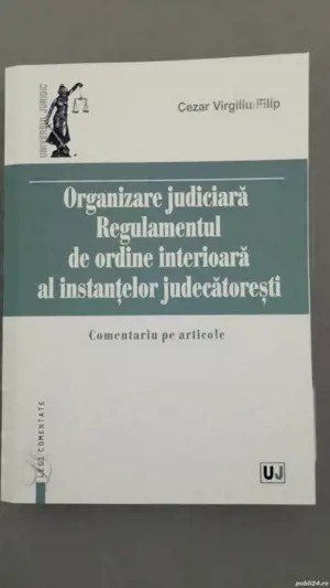 Cezar Virgiliu Filip - Organizare judiciara