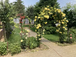 Vila în Lilieci  - imagine 10