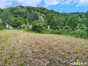 vand teren  - imagine 3 vand teren  - imagine 3