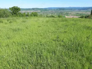 Vand case și terenuri la tara - imagine 7