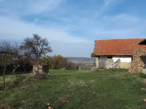 Vand case și terenuri la tara - imagine 4