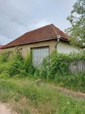 Vand case și terenuri la tara