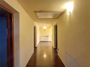 5 camere - 3 bai - 200 mp utili - teren 920 mp - Domnesti - Craitei - imagine 10