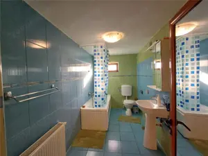 5 camere - 3 bai - 200 mp utili - teren 920 mp - Domnesti - Craitei - imagine 11