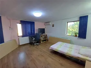 5 camere - 3 bai - 200 mp utili - teren 920 mp - Domnesti - Craitei - imagine 12