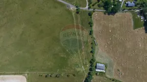 Teren Bran -Sohodol, Strada La mesteceni, 6900mp - imagine 12