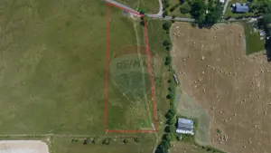 Teren Bran -Sohodol, Strada La mesteceni, 6900mp - imagine 5