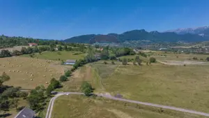 Teren Bran -Sohodol, Strada La mesteceni, 6900mp - imagine 11