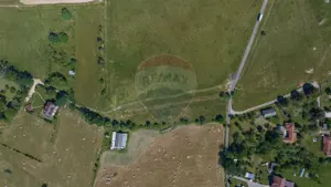 Teren Bran -Sohodol, Strada La mesteceni, 6900mp - imagine 10